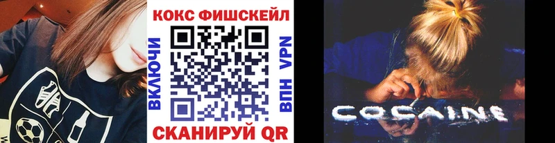 COCAIN Fish Scale  МЕГА онион  Брянск  сколько стоит 