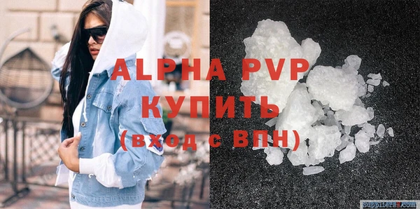 шишки Арсеньев