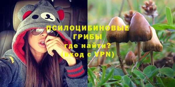 MDMA Premium VHQ Аркадак