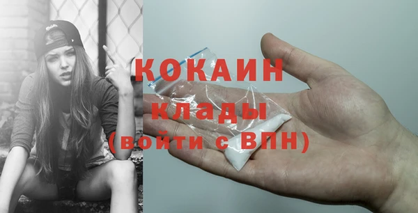 шишки Арсеньев