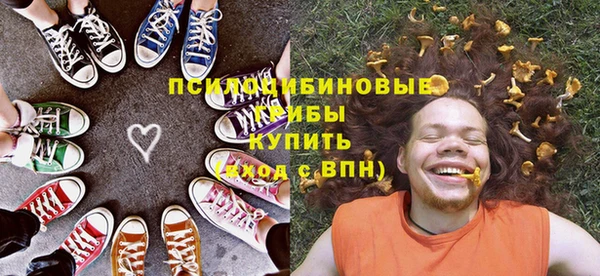 шишки Арсеньев