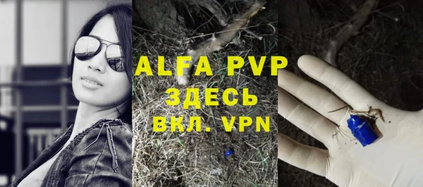 шишки Арсеньев