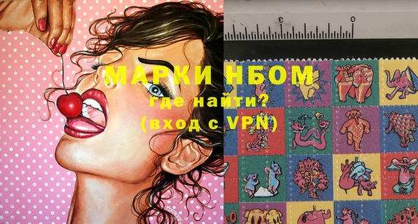 шишки Арсеньев