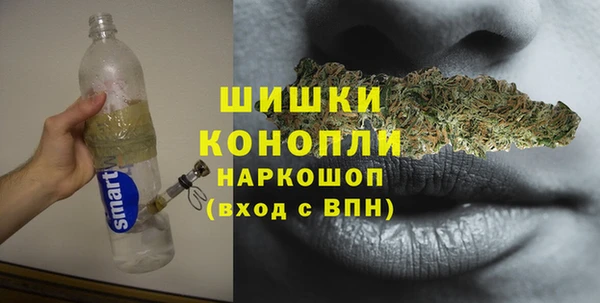 шишки Арсеньев