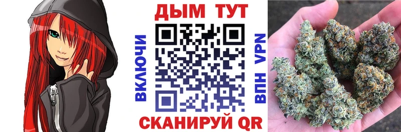 Канабис Bruce Banner  где найти   Брянск 
